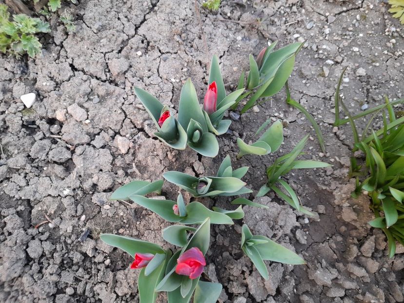  - 1 Bucurii nemuritoare 2023