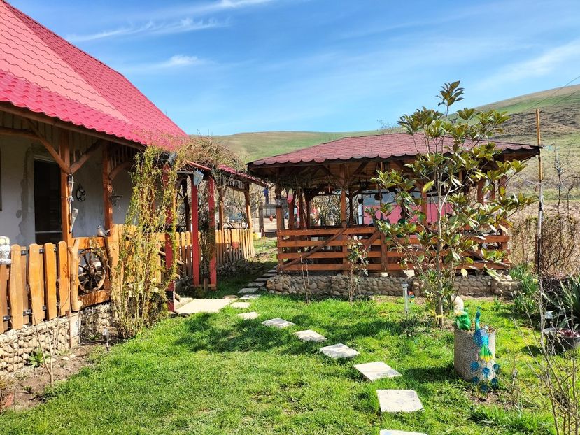 IMG20230324110137 - Primăvara 2023