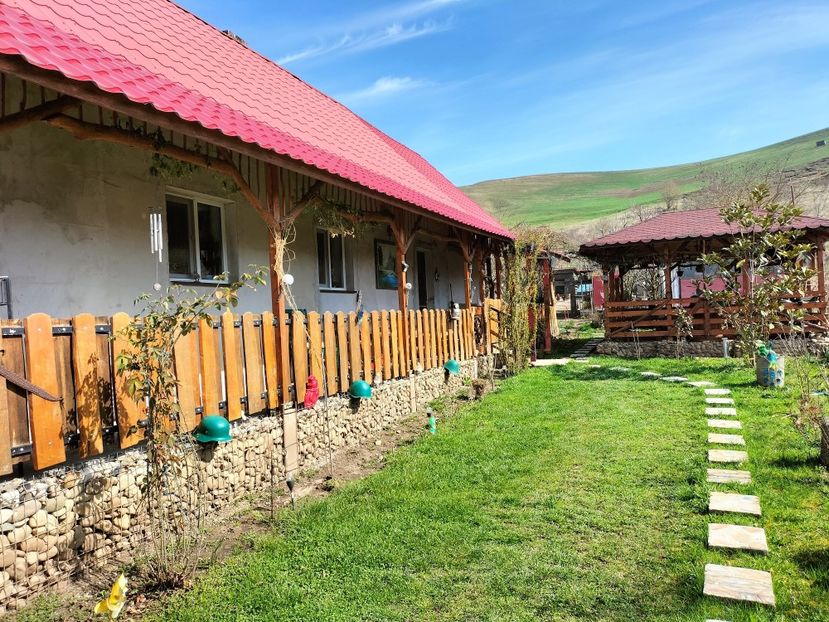 IMG20230324110122 - Primăvara 2023