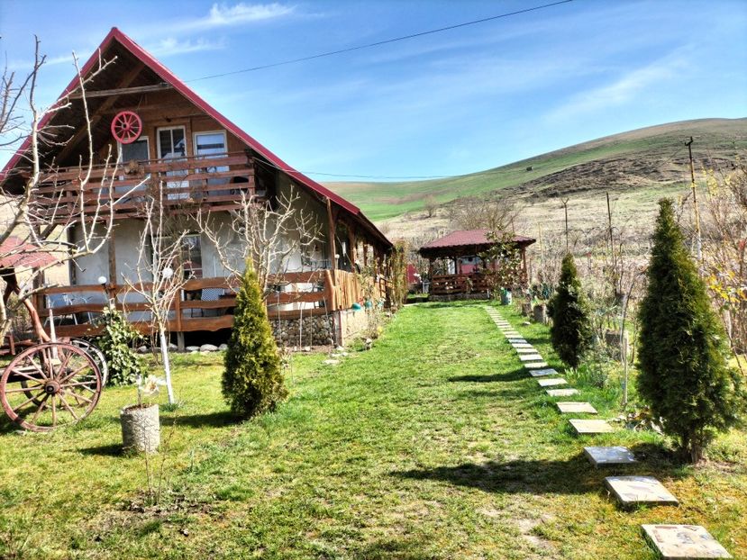 IMG20230324110058 - Primăvara 2023