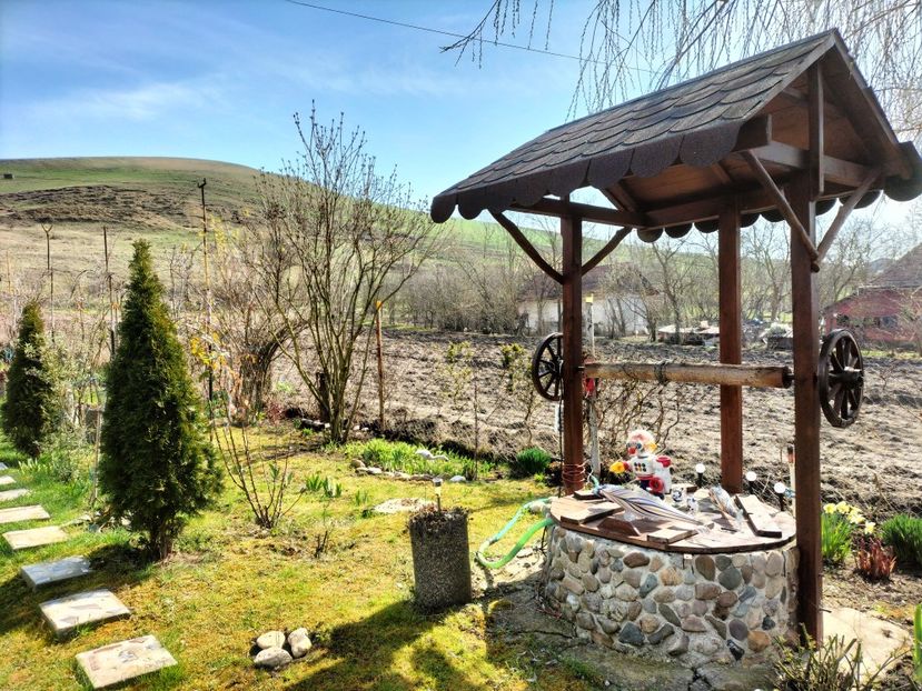 IMG20230324110054 - Primăvara 2023