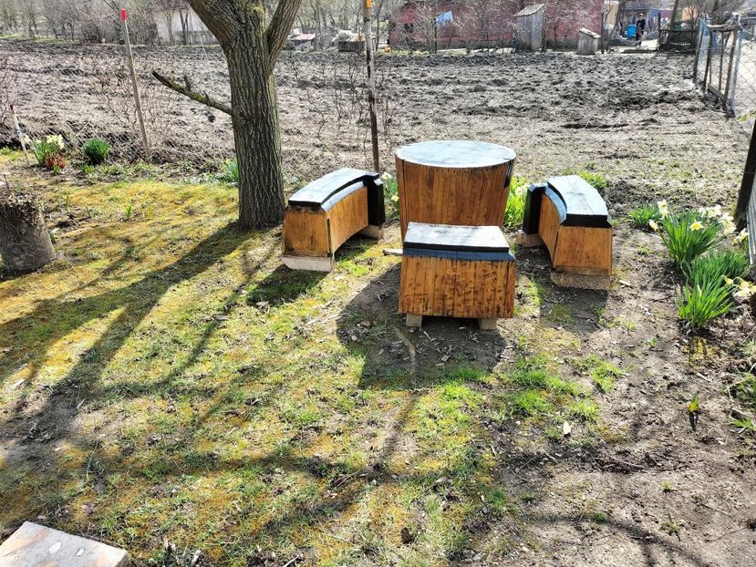 IMG20230324110039 - Primăvara 2023