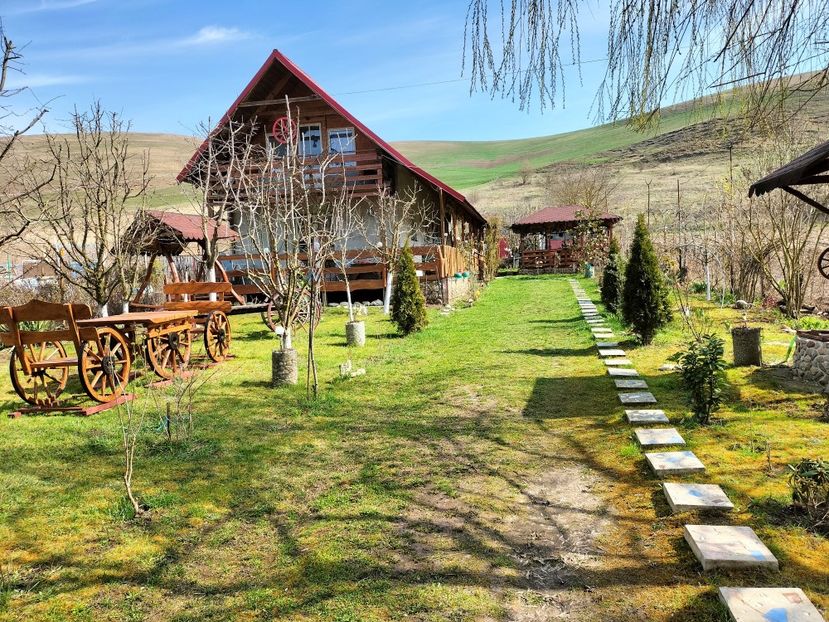 IMG20230324110036 - Primăvara 2023