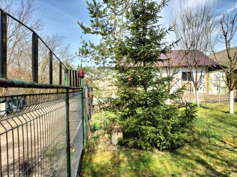 IMG20230324110026 - Primăvara 2023