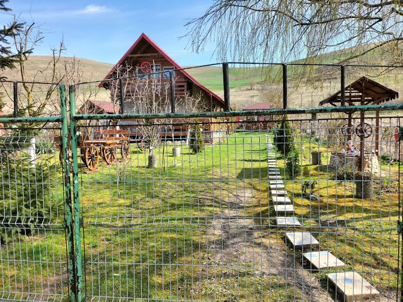 IMG20230324110009 - Primăvara 2023