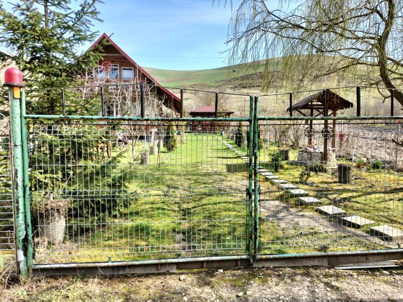 IMG20230324110001 - Primăvara 2023