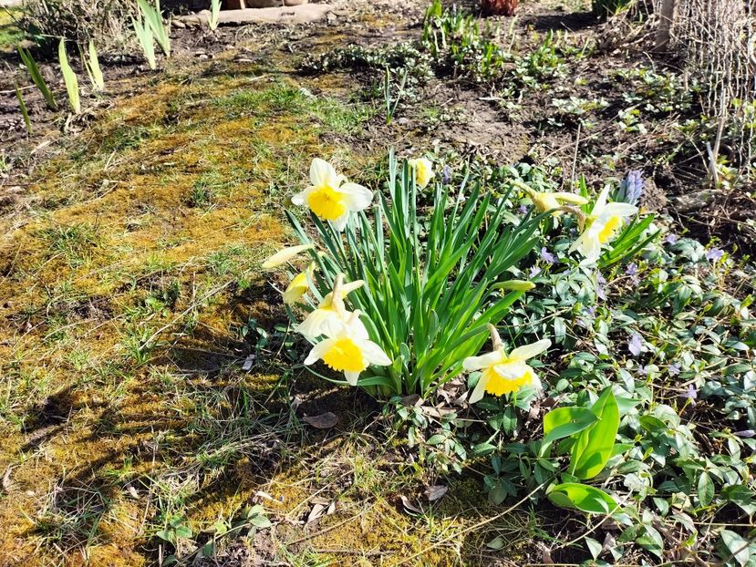 IMG20230324095650 - Primăvara 2023