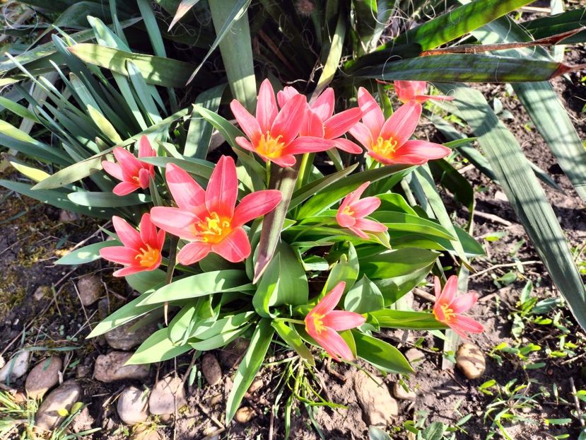 IMG20230324095502 - Primăvara 2023