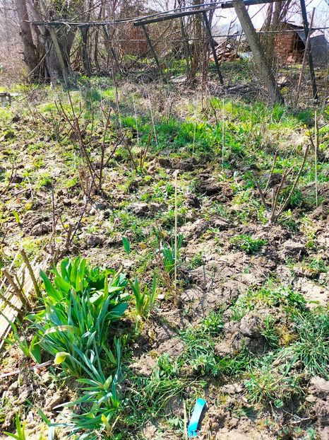 IMG20230324113928 - Martie 2023