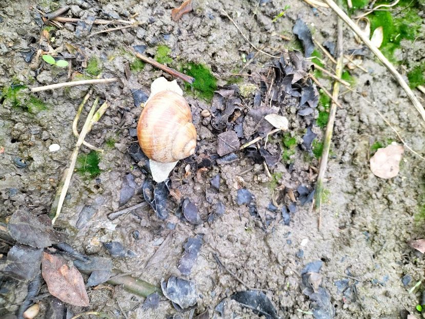 IMG20230323092805 - Martie 2023