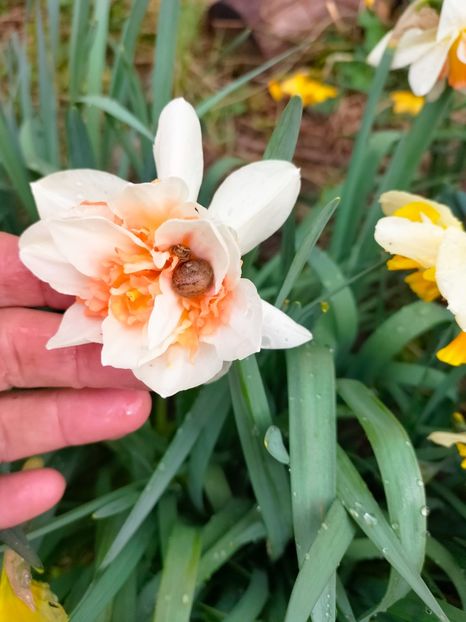 IMG20230323092203 - Martie 2023