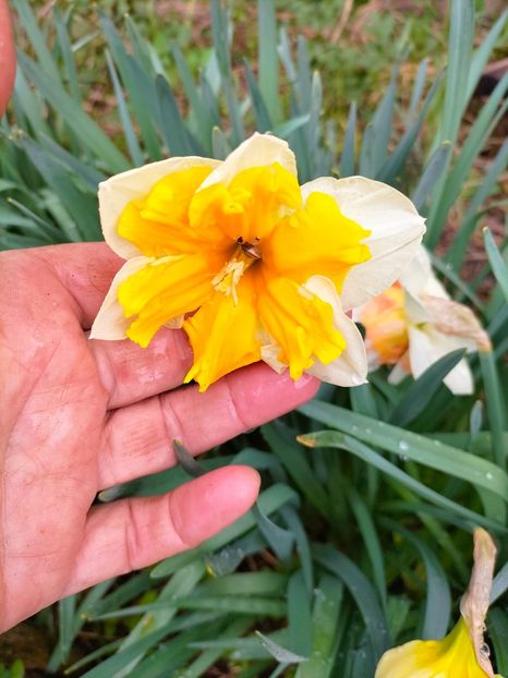 IMG20230323092159 - Martie 2023