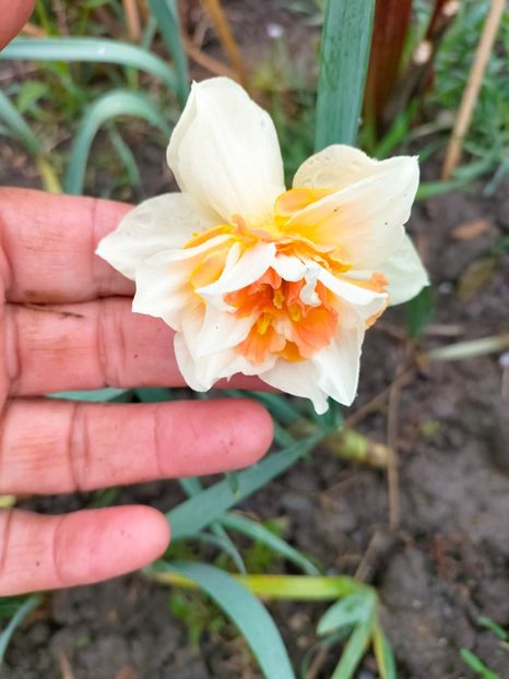 IMG20230323090459 - Martie 2023