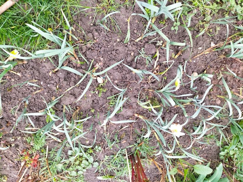 IMG20230323090453 - Martie 2023