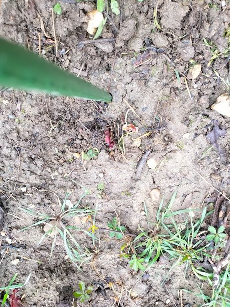 IMG20230323090349 - Martie 2023