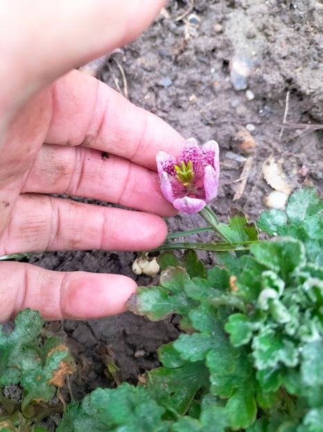 IMG20230323090119 - Martie 2023