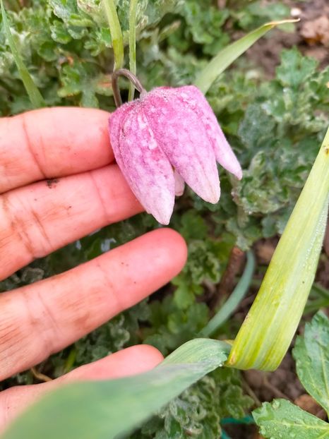 IMG20230323090114 - Martie 2023