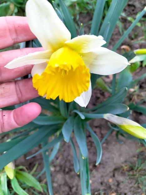 IMG20230322150915 - Martie 2023