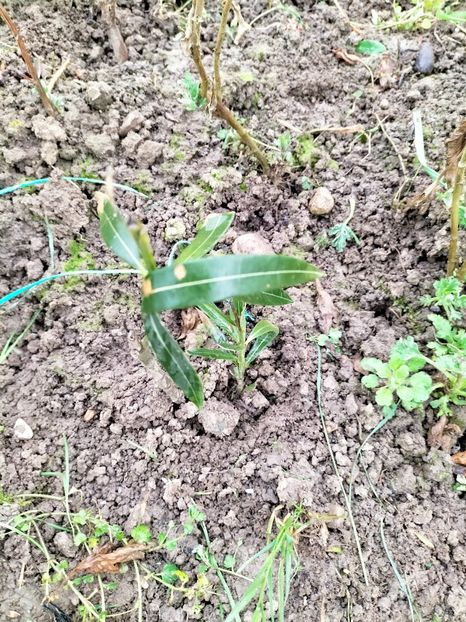 IMG20230322150627 - Martie 2023