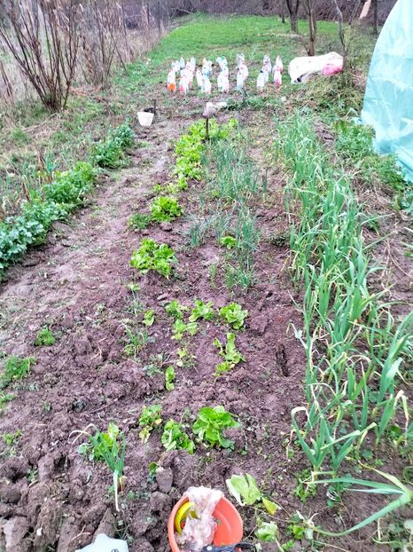 IMG20230322150538 - Martie 2023