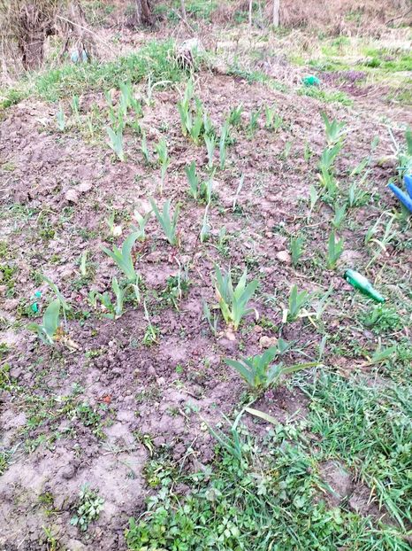 IMG20230322150529 - Martie 2023