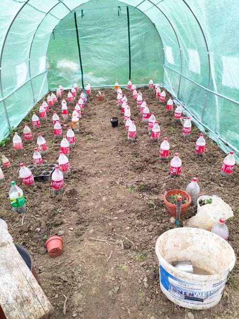 IMG20230322150426 - Martie 2023