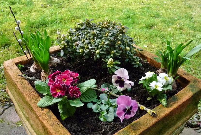 © - 2023 - 01 - Primavara