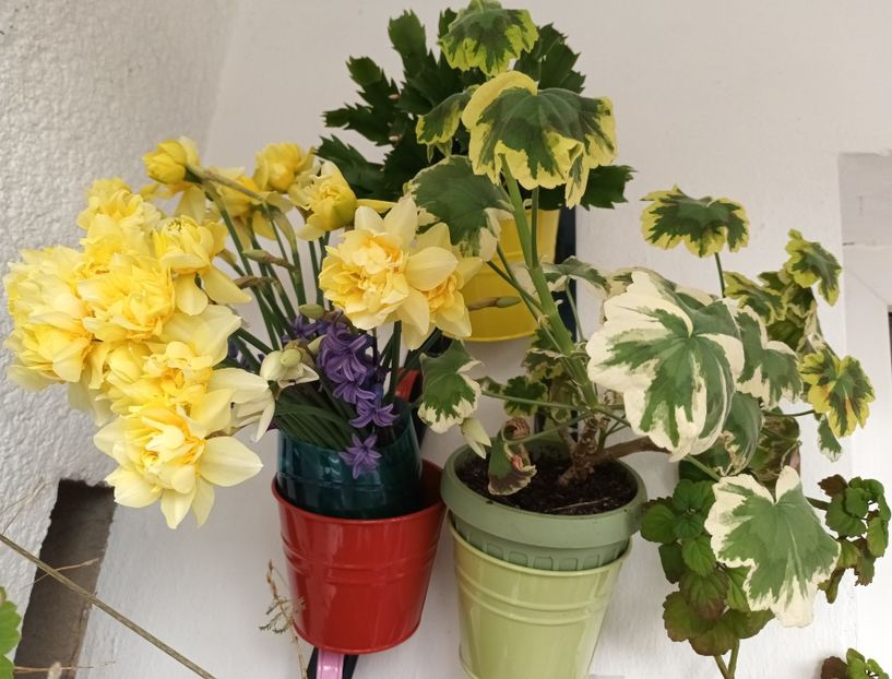 Bine ca a insistat mama sa le culeg... - Momente