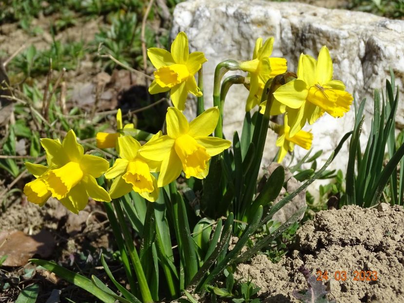 Tete a tete - z-Dobarland 2023