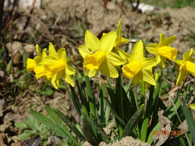 Tete a tete - z-Dobarland 2023