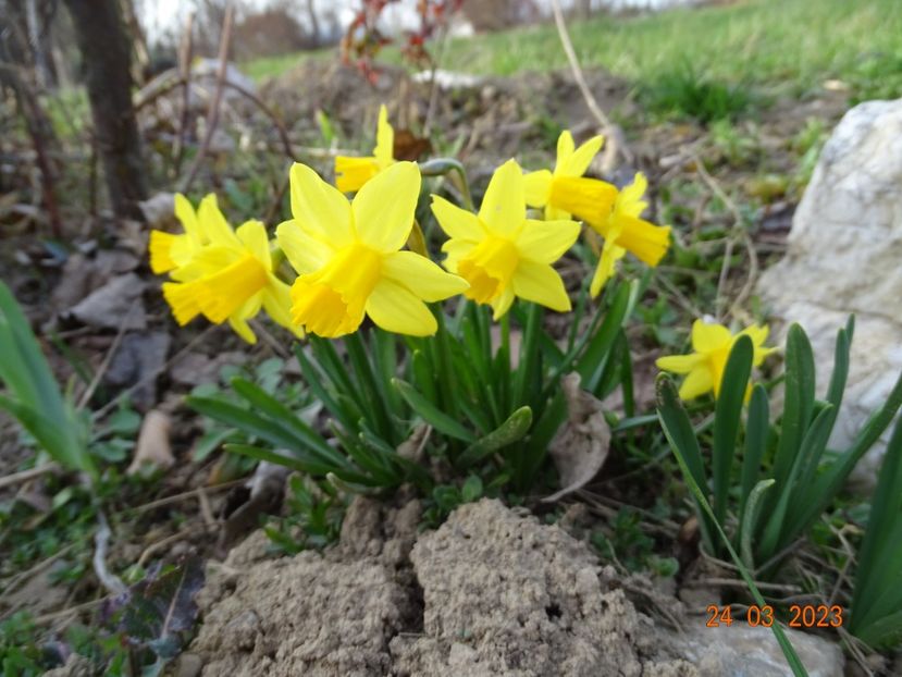 Tete a tete - z-Dobarland 2023