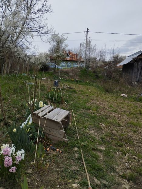  - Gradina 2023