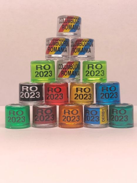 8E82BC5E-0DBA-447A-A70F-BE194DA3408C - 0 Inele porumbei 2023