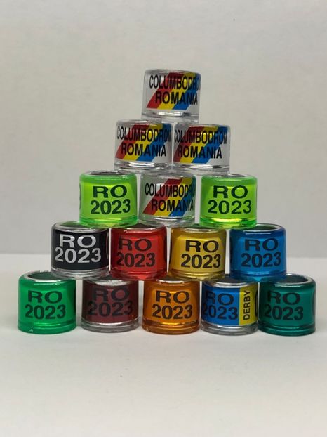 D1E93FED-0CE5-41C5-AAB2-9A41553B9F43 - 0 Inele porumbei 2023