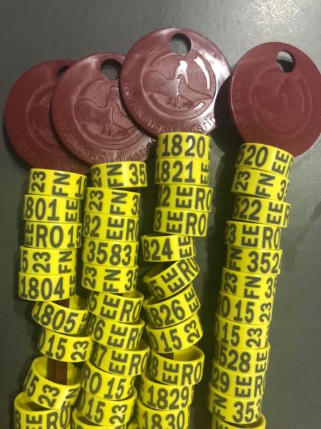 15BD5198-6409-4C2B-ADD8-1DEB262F241E - 0 Inele Ornament RO EEFN 2023