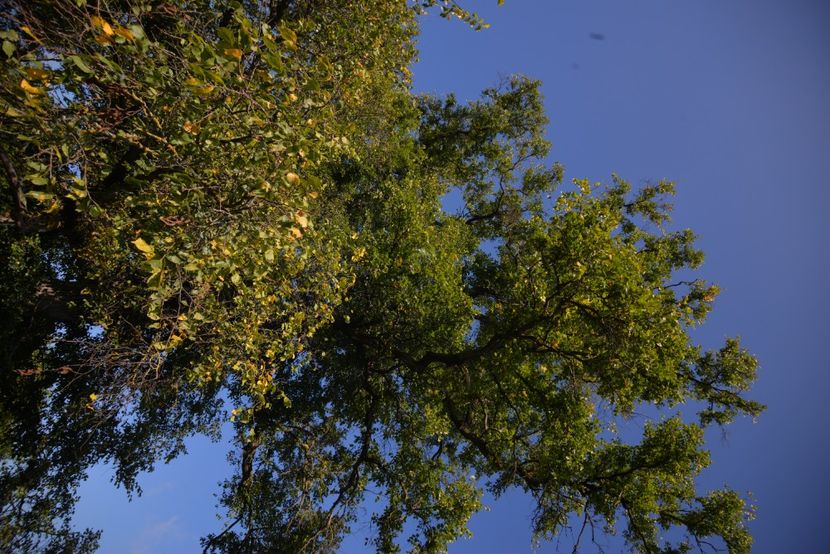  - 2021 25 09 2021 tur lejer CHEILE VARGHISULI