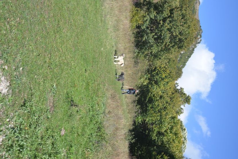  - 2021 25 09 2021 tur lejer CHEILE VARGHISULI