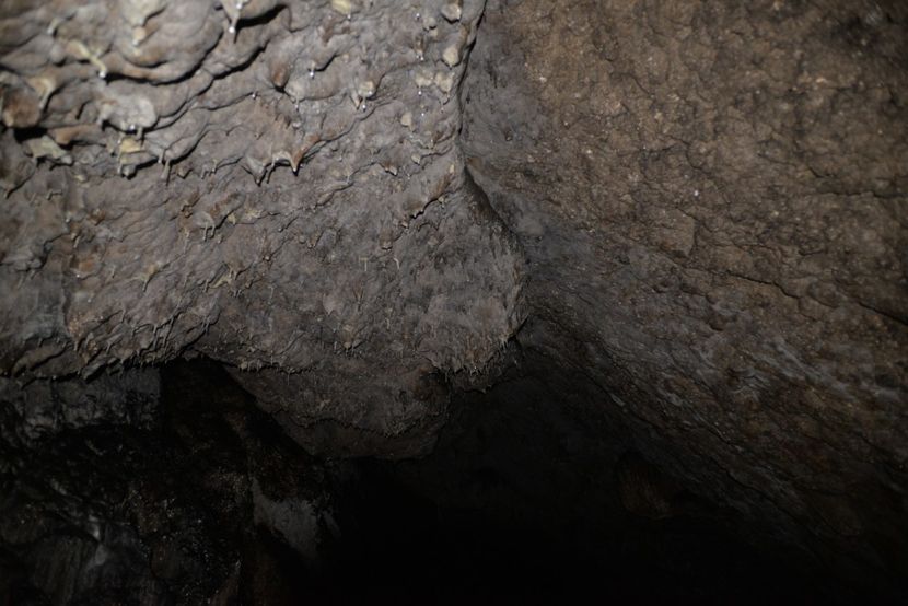  - 2021 25 09 2021 tur lejer CHEILE VARGHISULI