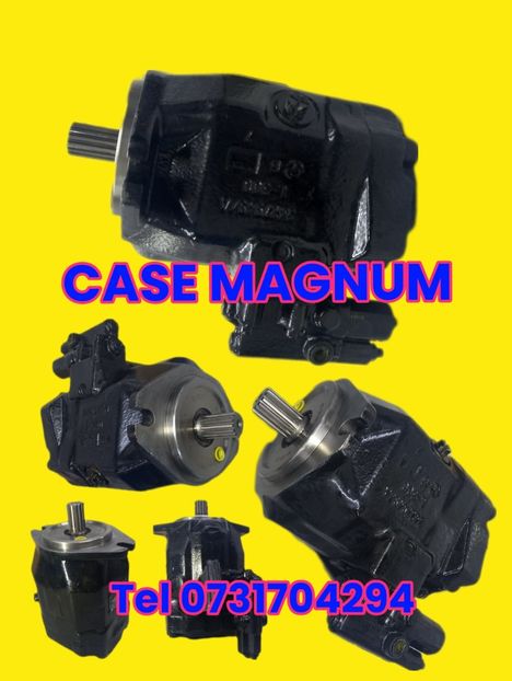 Pompa case Magnum sh  - Reparatii Hidraulice