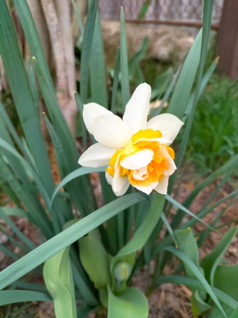 IMG20230327090240 - Martie 2023