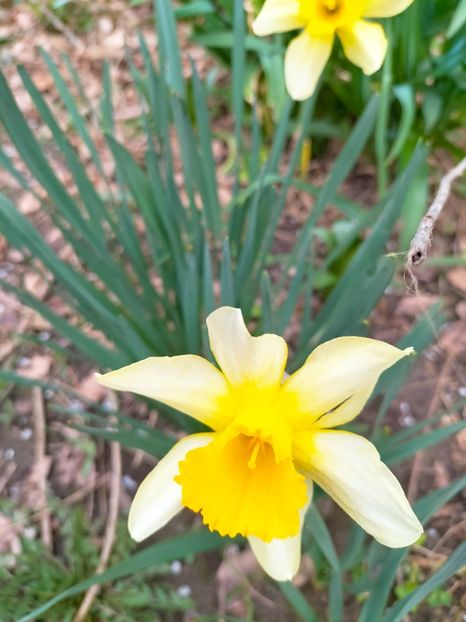 IMG20230327090051 - Martie 2023