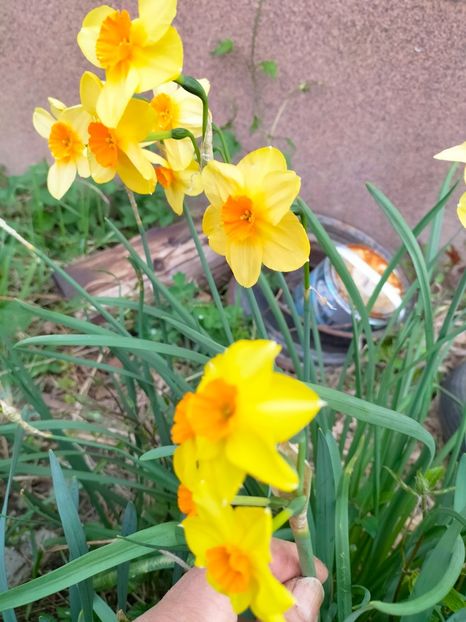 IMG20230327090027 - Martie 2023