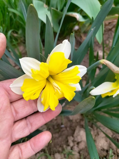 IMG20230327085233 - Martie 2023