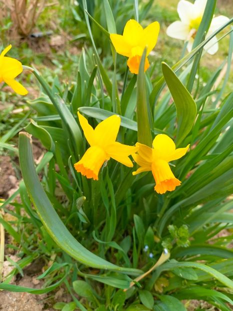 IMG20230327085127 - Martie 2023