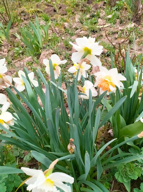 IMG20230327085116 - Martie 2023