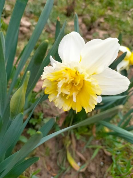 IMG20230327085059 - Martie 2023