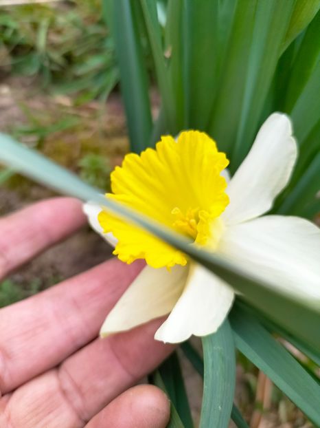 IMG20230327085040 - Martie 2023