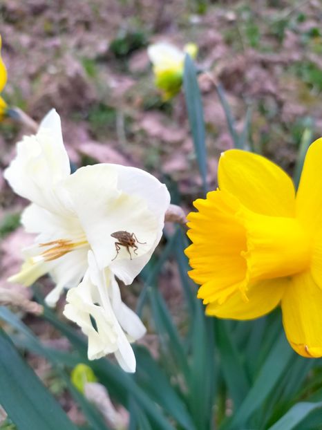 IMG20230327085021 - Martie 2023