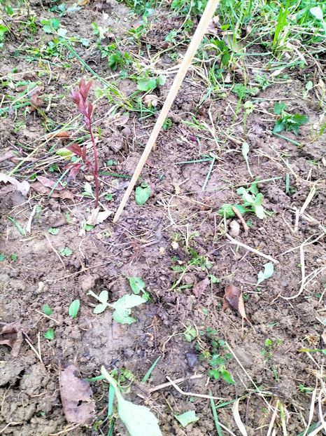 IMG20230327084933 - Martie 2023