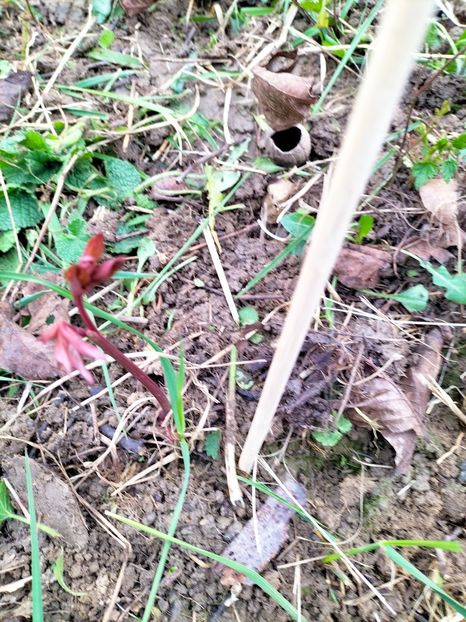 IMG20230327084922 - Martie 2023